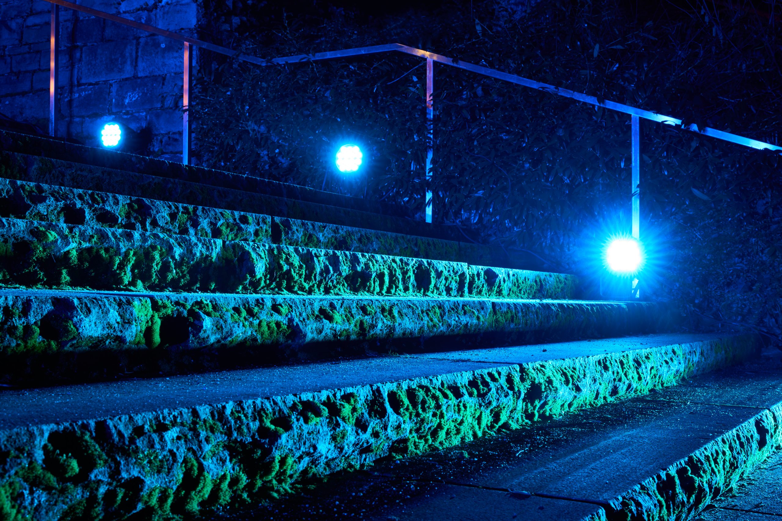 2026 02 05 Parkleuchten 0423